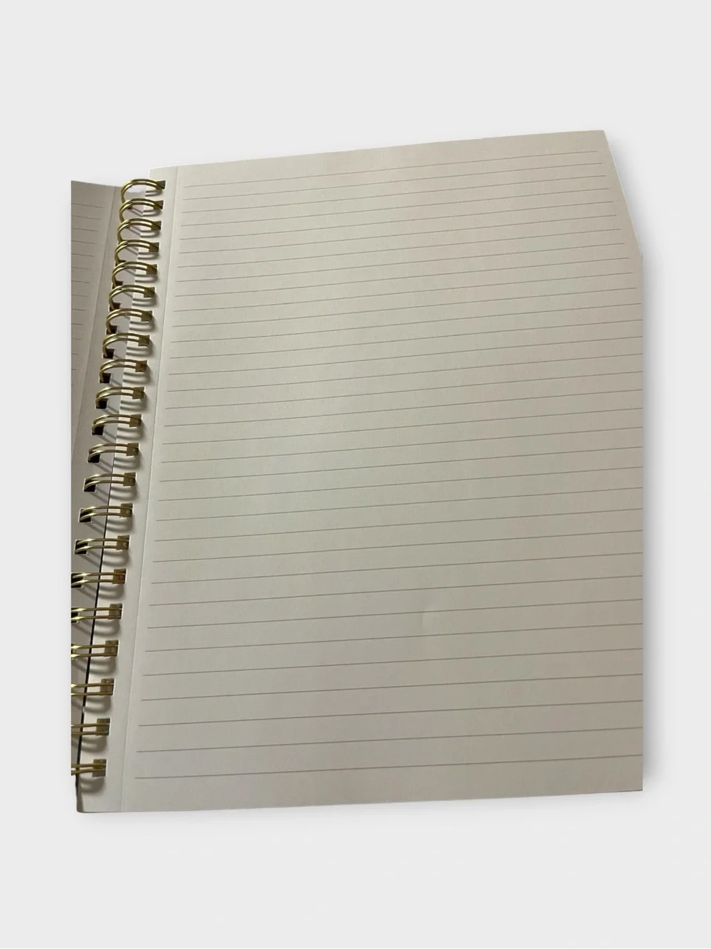 🌸 Meet Your New Favorite Organizer: James Burke Axolotl Spiral Notebook 🌸